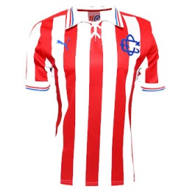 Jersey Chivas de Guadalajara Puma 110 years