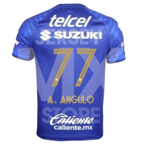 Jersey Pumas Away Nike 2025/26 Angulo